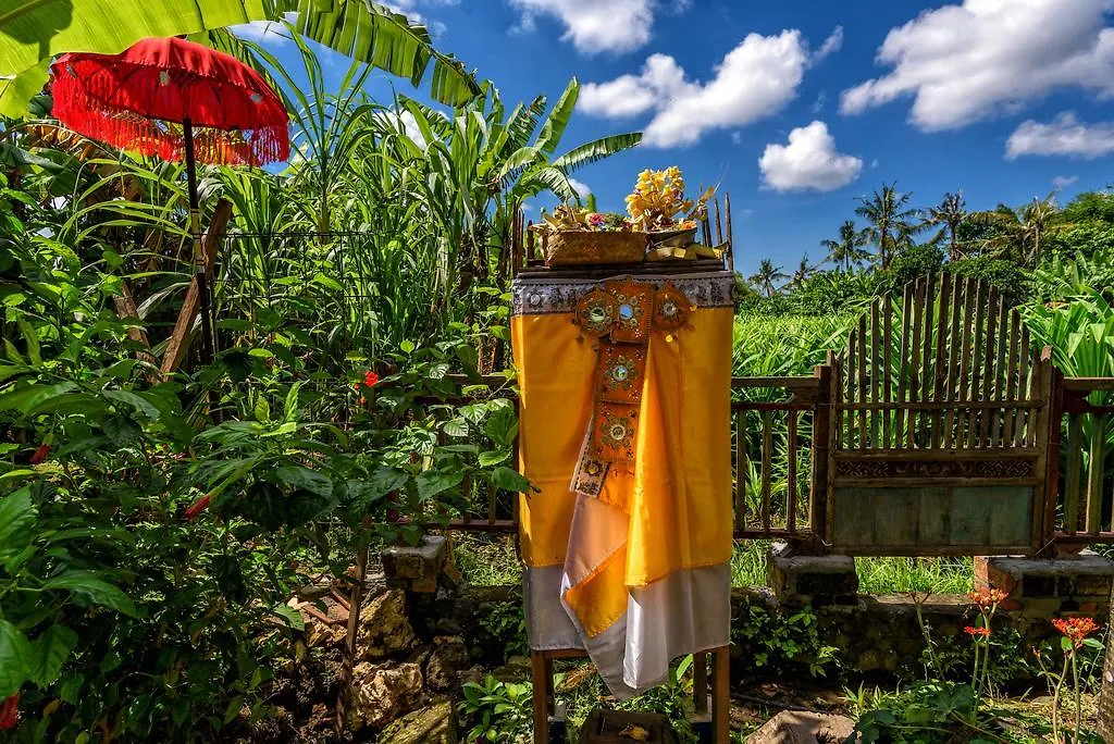 Taman Nauli Boutique Rooms-1