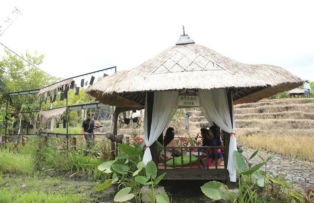 Kts Balinese Villas-1