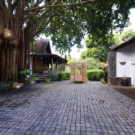 Kalapa Boutique Resort & Yoga-2